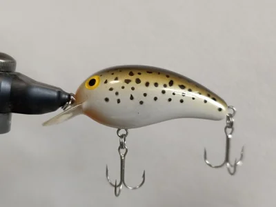 Daiwa Peanut II SR (BRW)