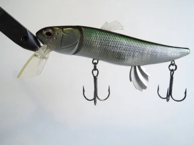 Megabass ZZ-DAX (Color GG Shira Hae)