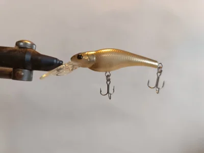Evergreen SM Shad (GTT)