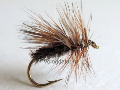 Peacock Caddis Adams