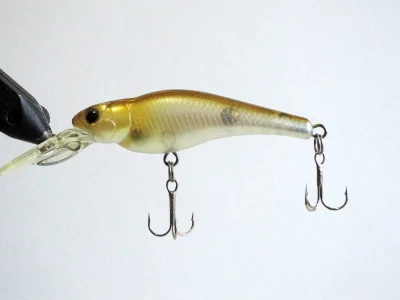 EverGreen SM SHAD (GT)