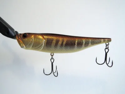 Deps radscale 111