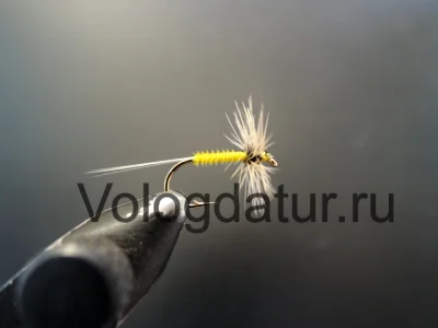 Mosquito Yellow – Golden Badger