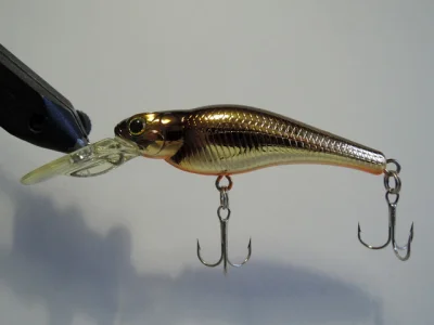 Evergreen SM Shad (Color 101)
