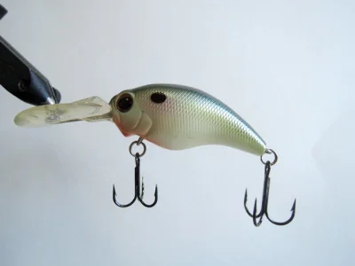 Evergreen Mo-Do WildHunch (Color #62)