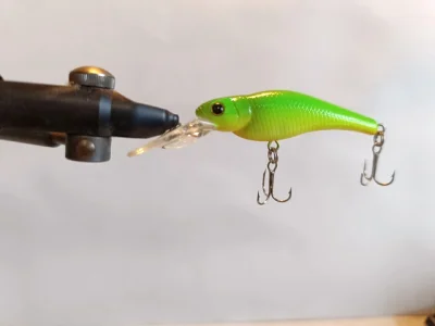 Evergreen SM Shad (LLG)