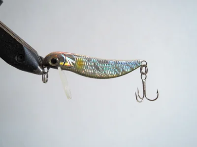 Saurus feelly 45 (GLL)