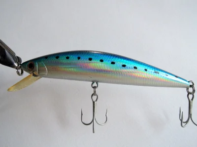 JACKSON ATHLETE S 12 (Color C 14)