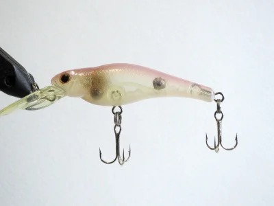 EverGreen SM SHAD (TR)