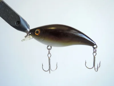 Smith Depthydo SR (BBW)