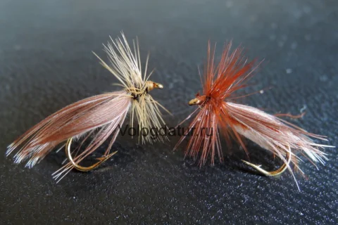 Defoe Caddis