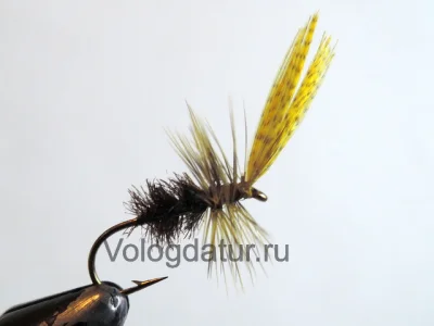 John Storey Yellow