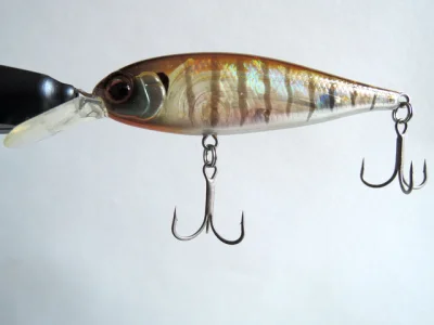 Ever Green Bank Shad (CST)