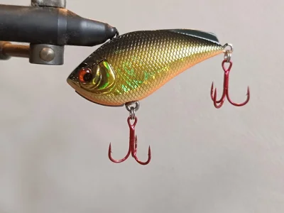 SHIMANO COMPLEX BABY UNDULATOR 60 S