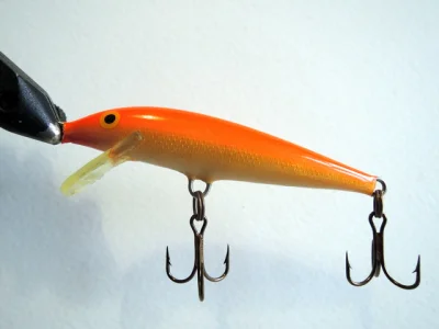 Rapala Floating 70 (Color GFR)