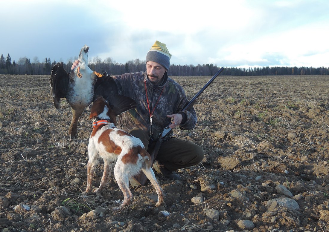 Охота на гуся в Вологодской области