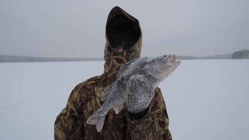 рыбалка на жерлицы в вологодской области