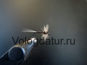 Купить сухую мушку Комарик Mosquito Peacock - Golden Badger